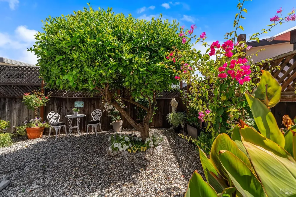 705 Sequoia Street Windsor, CA 95492