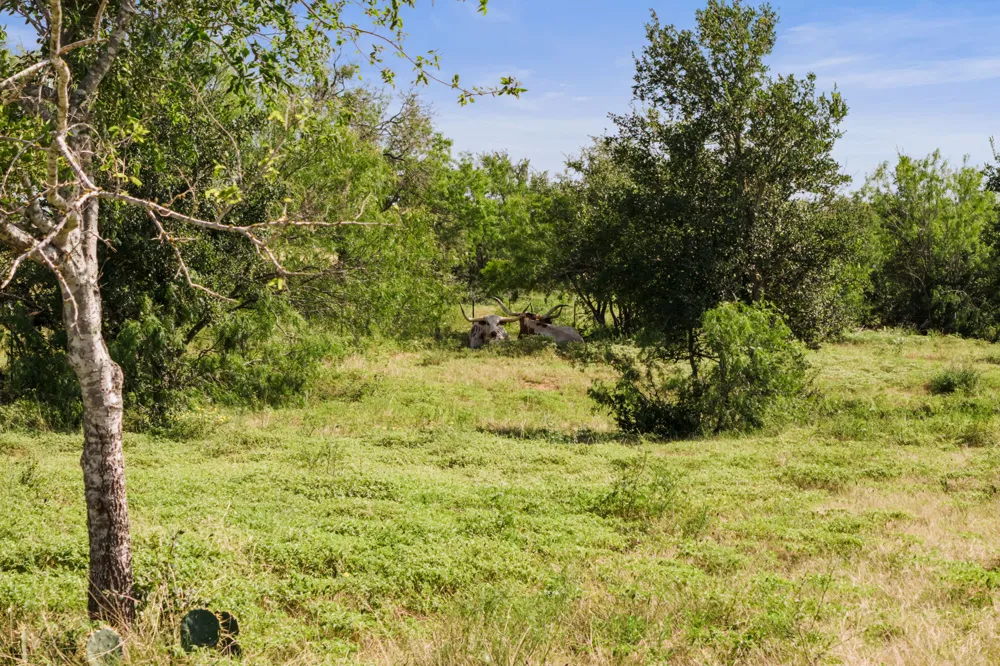 625 Callihan Road Luling, TX 78648