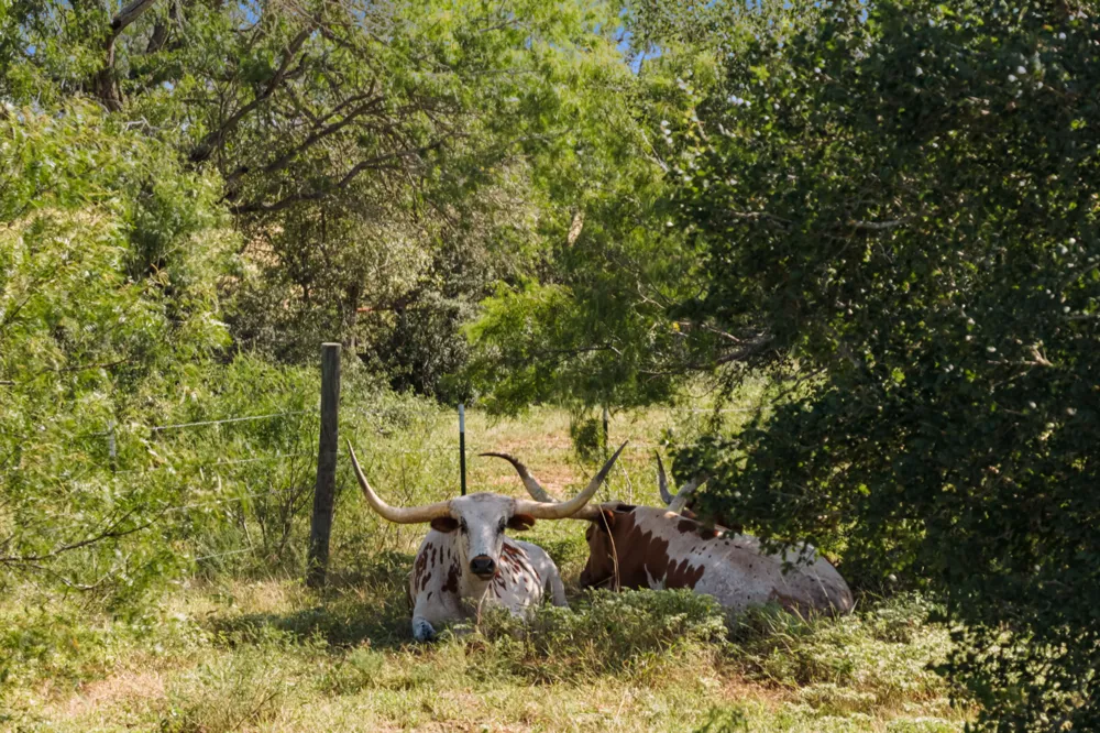 625 Callihan Road Luling, TX 78648