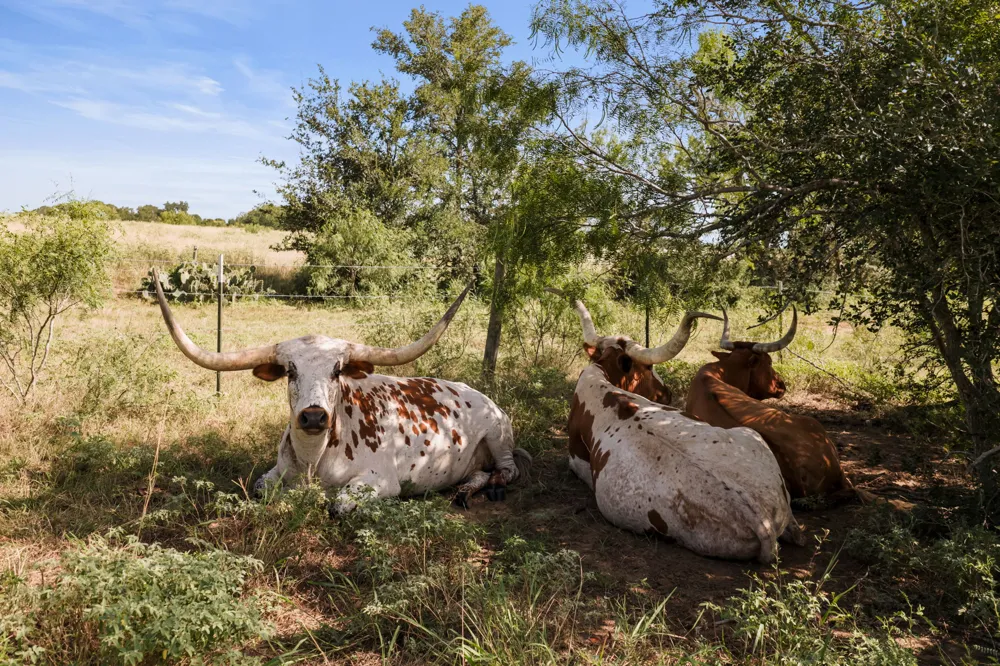 625 Callihan Road Luling, TX 78648