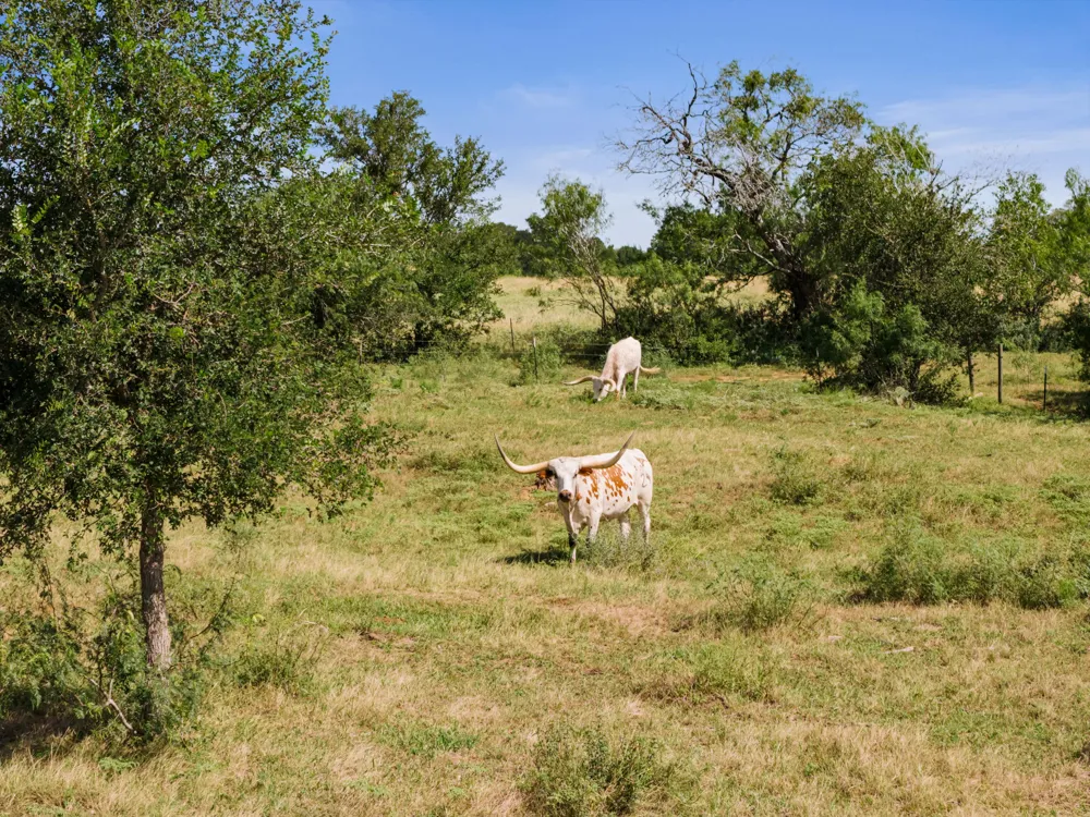625 Callihan Road Luling, TX 78648