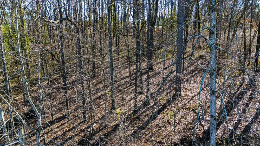 Bonny Oaks Drive Chattanooga, TN 37406