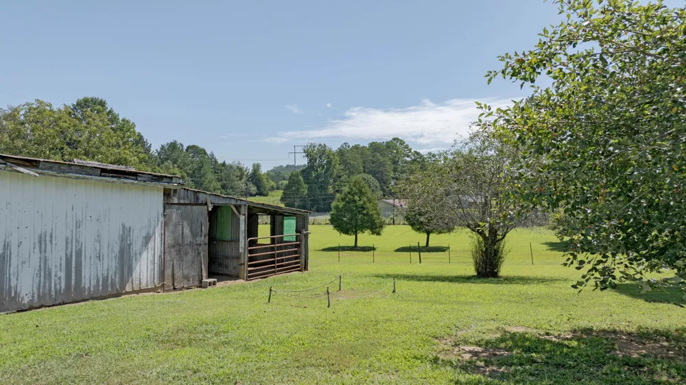4924 Wolf Creek Road Spring City, TN 37381