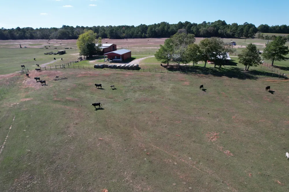 19743 S County Road 3227 Cushing, TX 75760