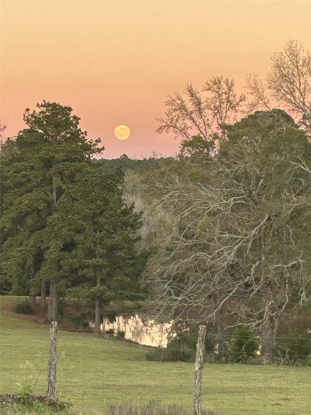 19743 S County Road 3227 Cushing, TX 75760