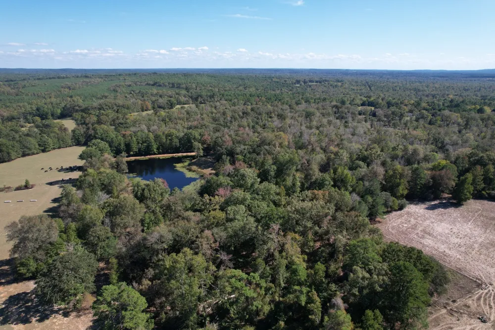 19743 S County Road 3227 Cushing, TX 75760