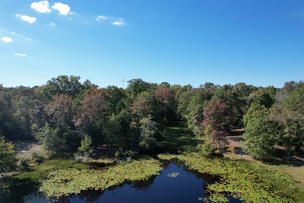 19743 S County Road 3227 Cushing, TX 75760