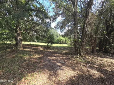 Live Oak Lane