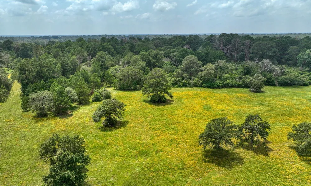 4749 Highway 36 Bellville, TX 77418