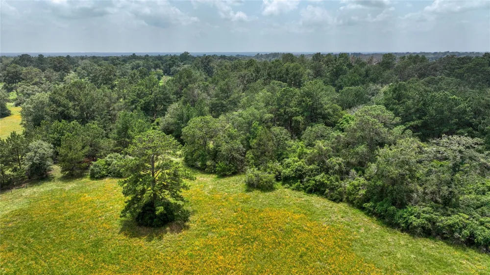 4749 Highway 36 Bellville, TX 77418