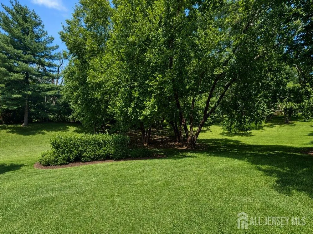 460 Sayre Drive Plainsboro, NJ 08540