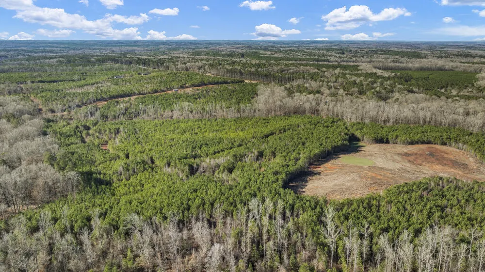 Parcel C3-200 Highway 0027 Hamilton, GA 31811