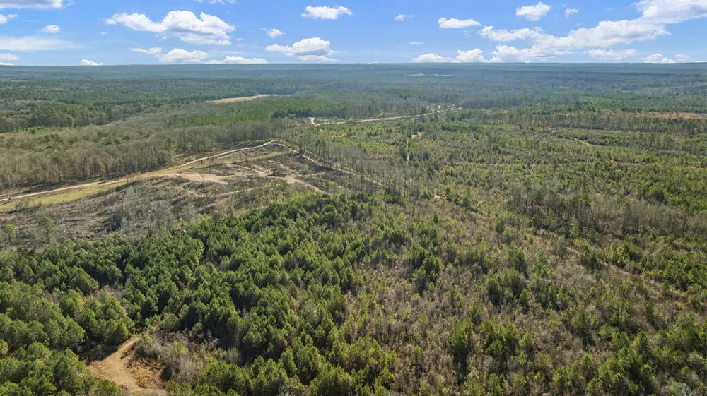 Parcel C2-300 Highway 0027 Hamilton, GA 31811