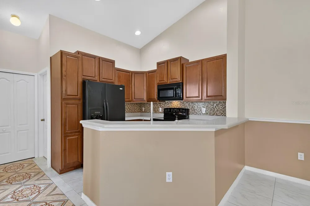 8890 MOONLIT MEADOWS LOOP Riverview, FL 33578