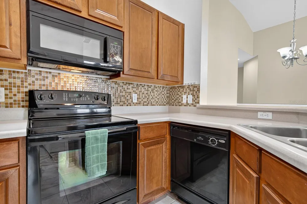 8890 MOONLIT MEADOWS LOOP Riverview, FL 33578