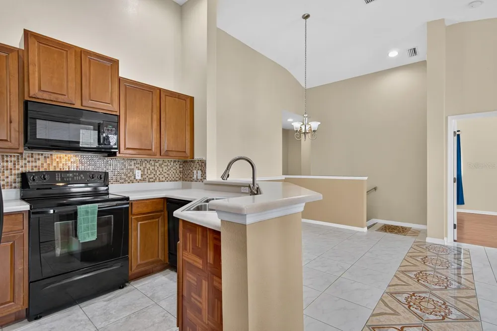 8890 MOONLIT MEADOWS LOOP Riverview, FL 33578