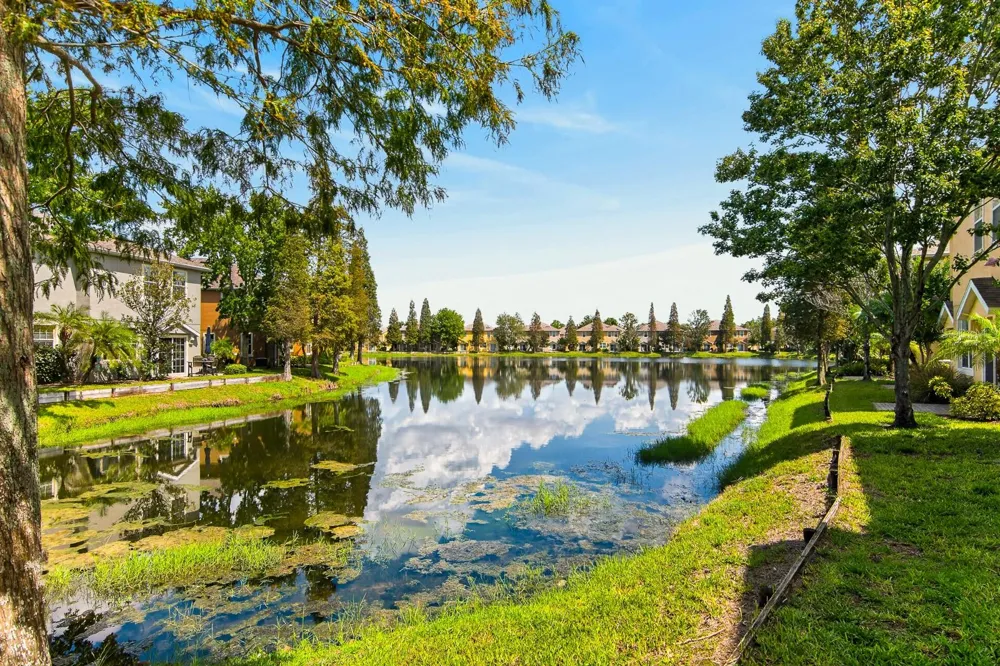 8890 MOONLIT MEADOWS LOOP Riverview, FL 33578