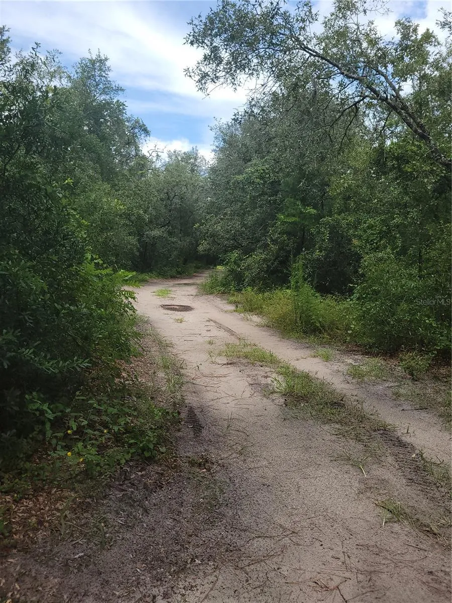 16518 HELEN K DRIVE Spring Hill, FL 34610