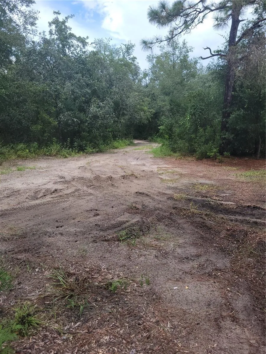 16518 HELEN K DRIVE Spring Hill, FL 34610