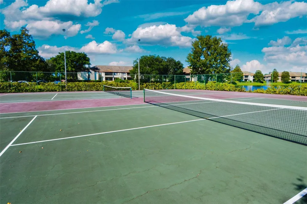 10263 GANDY BOULEVARD #2403 St Petersburg, FL 33702