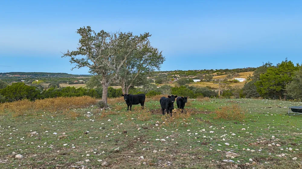 4237 County Road 330 Road Burnet, TX 78611