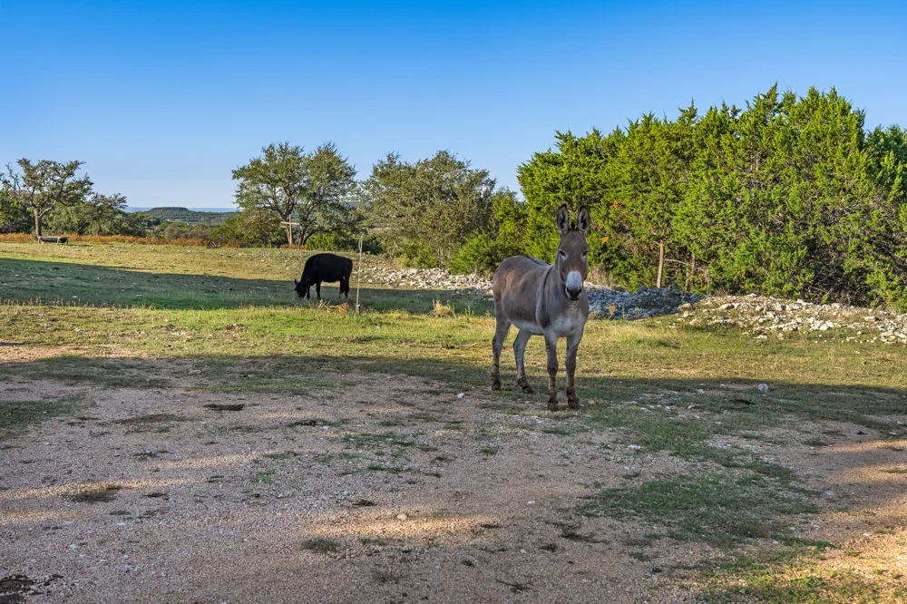 4237 County Road 330 Road Burnet, TX 78611