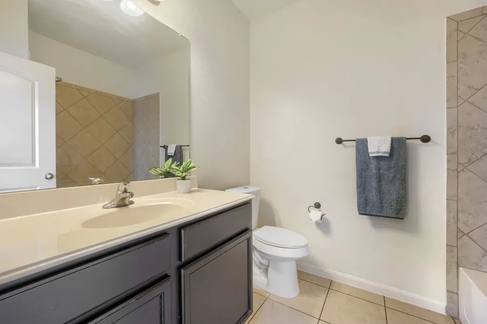19624 Smith Gin Street Manor, TX 78653
