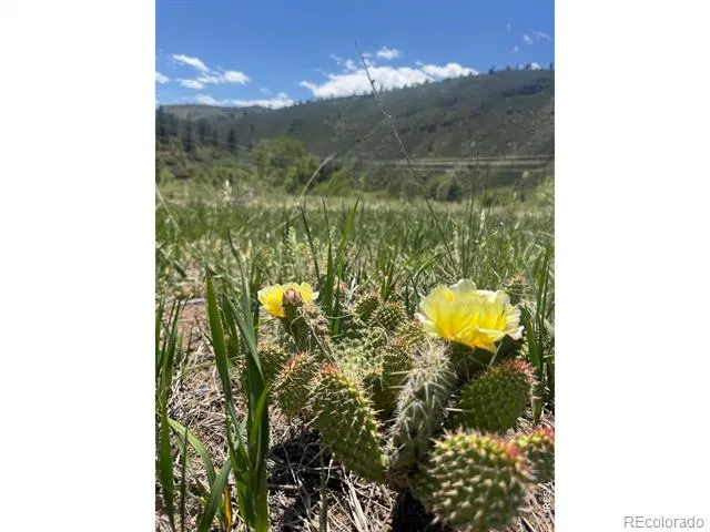 1114 Vision Way #& 1115 Lyons, CO 80540