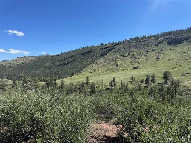1114 Vision Way #& 1115 Lyons, CO 80540