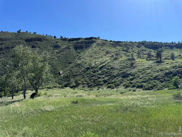 1114 Vision Way #& 1115 Lyons, CO 80540