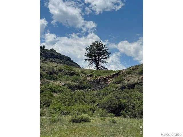 1114 Vision Way #& 1115 Lyons, CO 80540