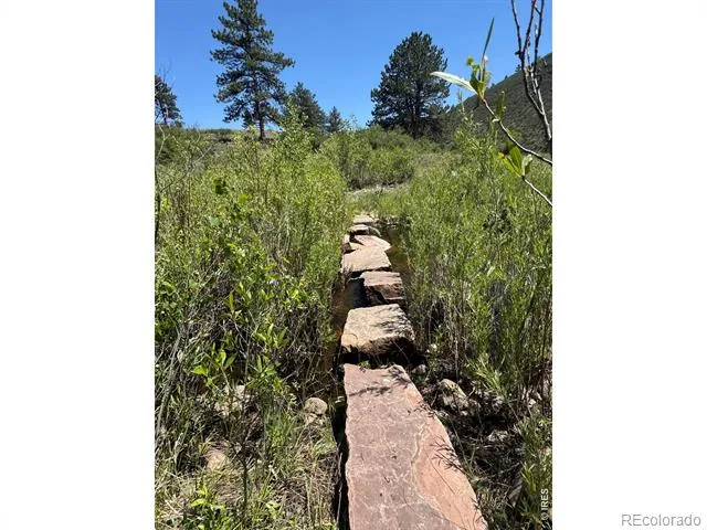 1114 Vision Way #& 1115 Lyons, CO 80540