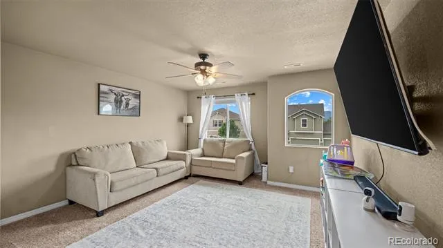 10857 Hidden Prairie Parkway Fountain, CO 80817