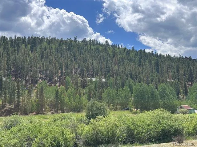 606 Random Road Bailey, CO 80421