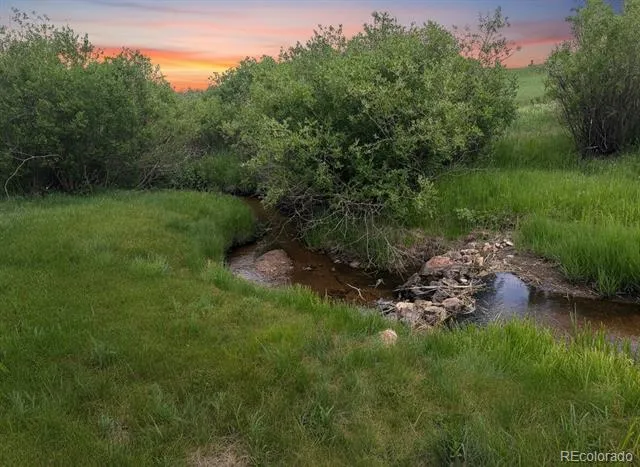 606 Random Road Bailey, CO 80421