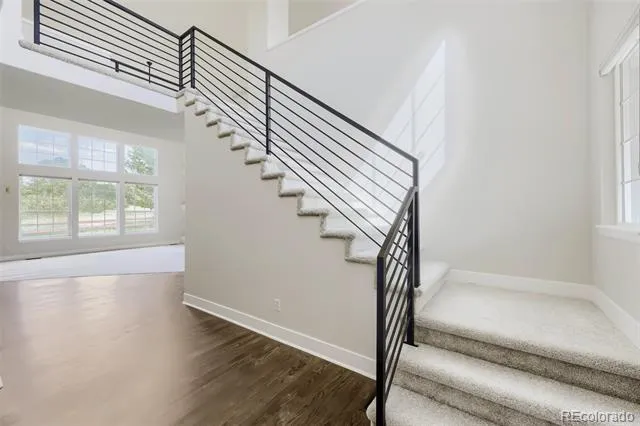 7184 Campden Place Castle Pines, CO 80108