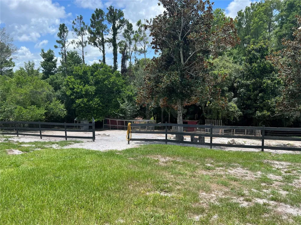8015 SYCAMORE DRIVE New Port Richey, FL 34654