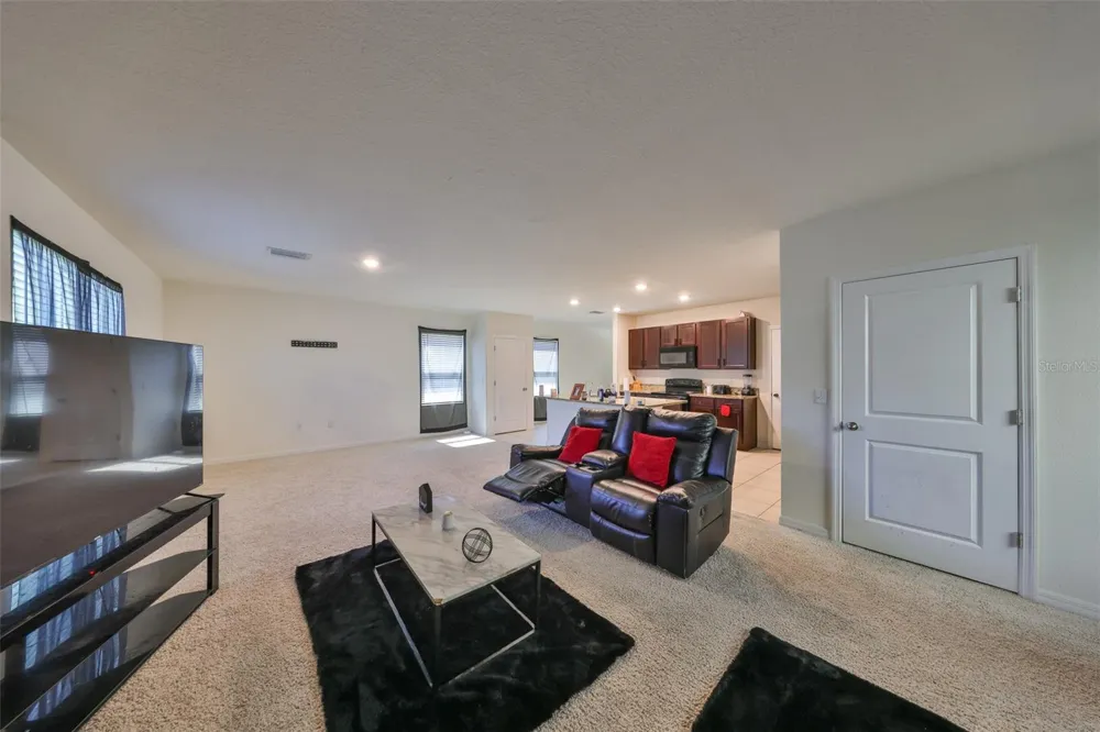 10967 CARLTON FIELDS DRIVE Riverview, FL 33579