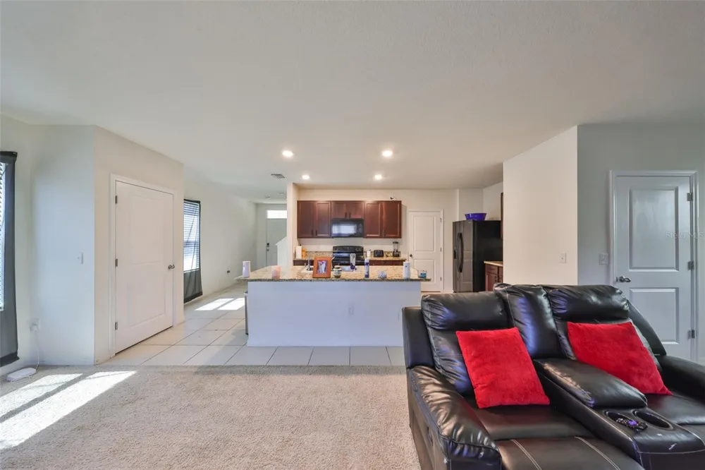 10967 CARLTON FIELDS DRIVE Riverview, FL 33579