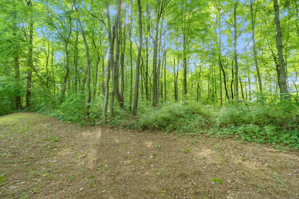 11175 S Enzian Road Plainwell, MI 49080