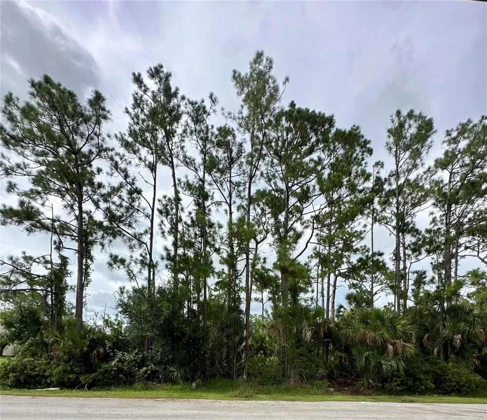 Lot 16 DONATELLO AVENUE North Port, FL 34286