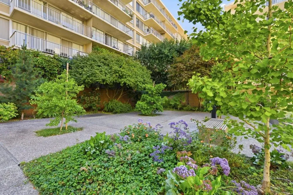 400 Davey Glen Road #4601 Belmont, CA 94002