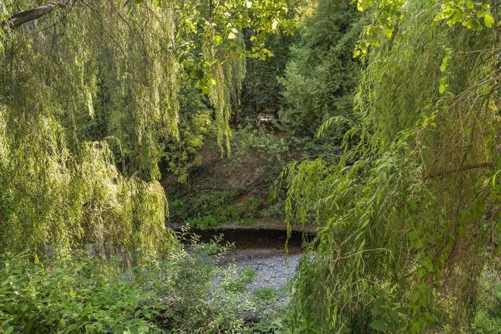 338 River Road Felton, CA 95018