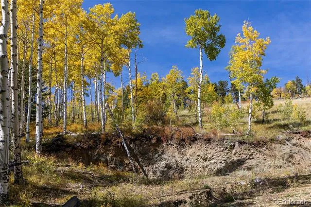 001 Seldom Seen Road Golden, CO 80403