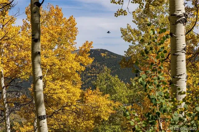 001 Seldom Seen Road Golden, CO 80403