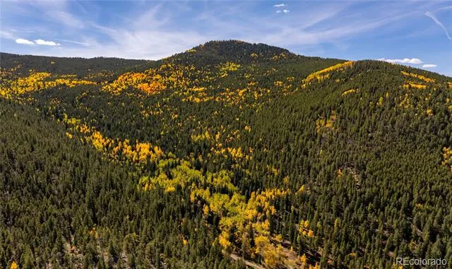 001 Seldom Seen Road Golden, CO 80403