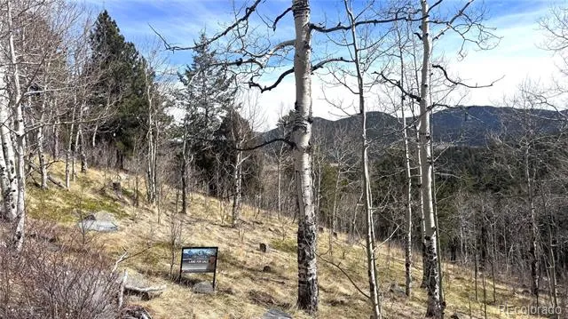 001 Seldom Seen Road Golden, CO 80403