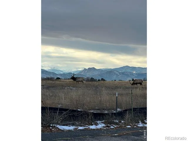 684 26th Street SW Loveland, CO 80537