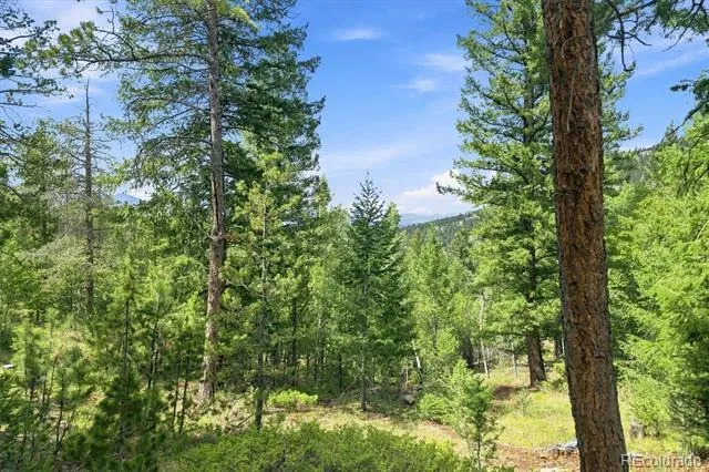 5581 Northwood Drive Evergreen, CO 80439