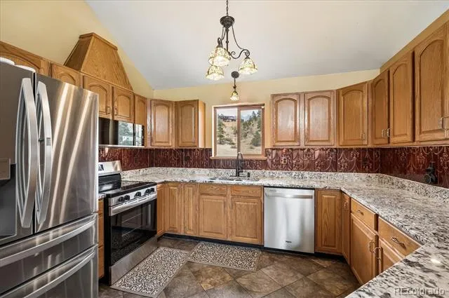 175 Blackbird Drive Bailey, CO 80421